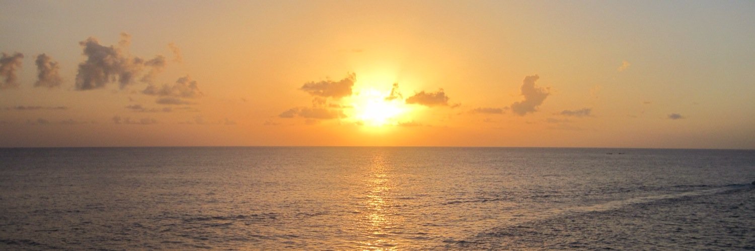 radashh's profile banner image