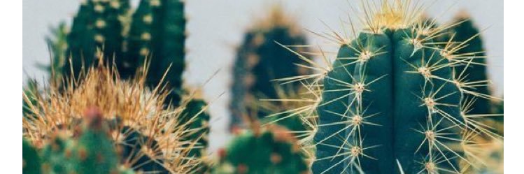 jess_burger's profile banner image