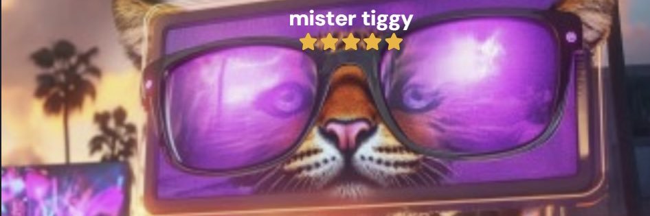 EyeOfTheTigerPA's profile banner image