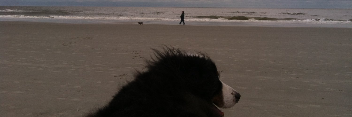 SCarolinaRon's profile banner image