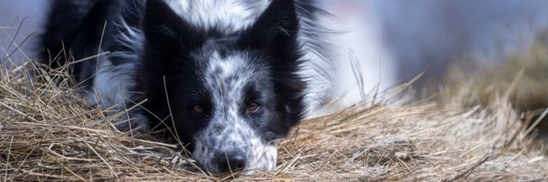 Brad____Fran Profile Banner