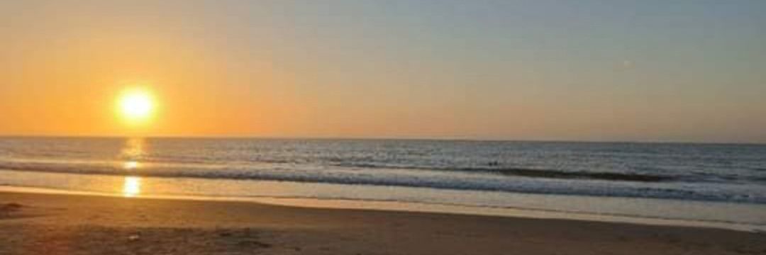 PinkPuentes's profile banner image