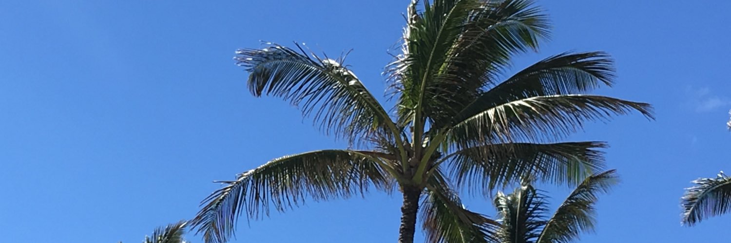 snyderink's profile banner image