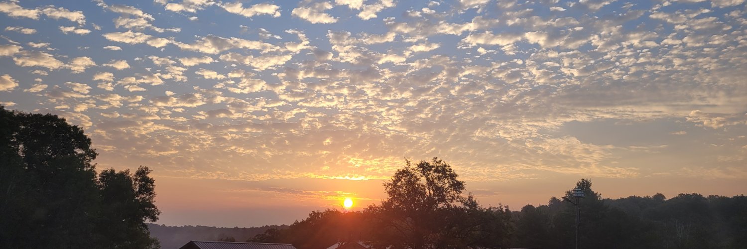 Jennifer Zarifeh Major~ Writer. Troublemaker banner