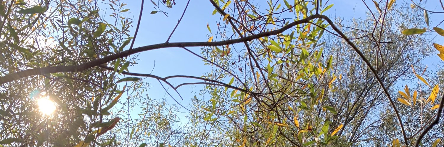 Davidjetlife's profile banner image