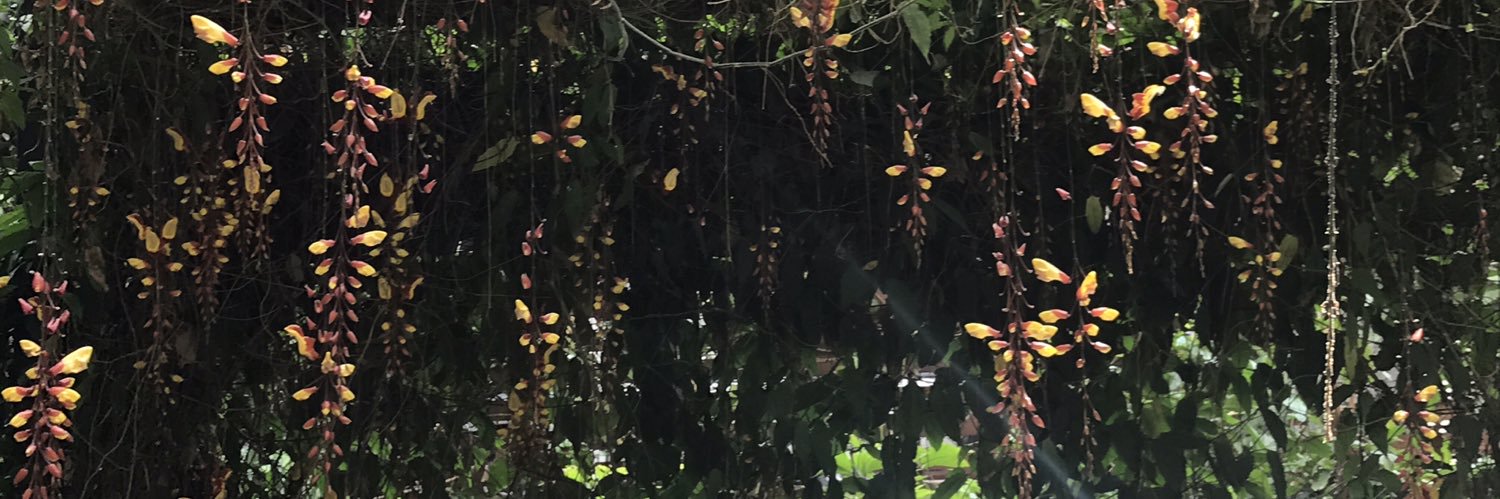juancmelguizo's profile banner image
