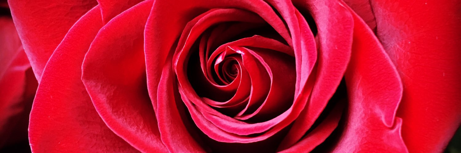 ElleryQuinn7's profile banner image