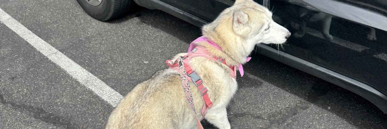 Christopher M banner