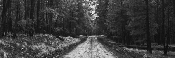 scottfaubs Profile Banner