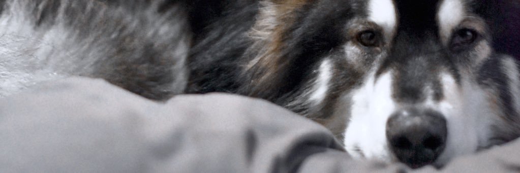 Mike_Clizbe's profile banner image