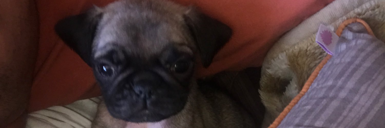 leomendiaz's profile banner image