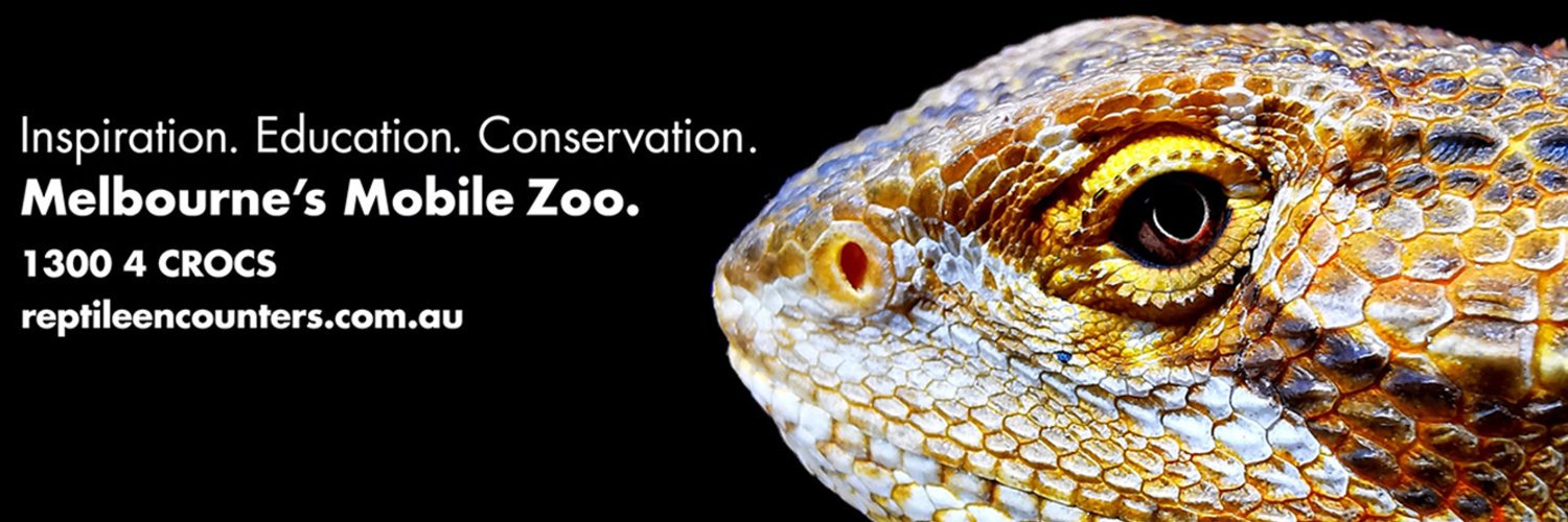 ReptileEnc's profile banner image