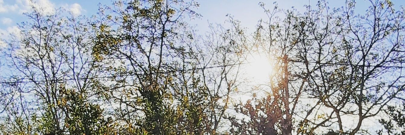 bethania95's profile banner image