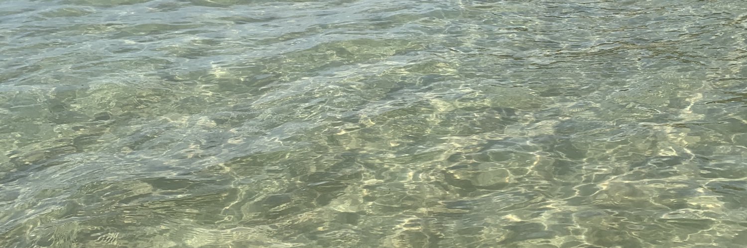 Cleisonoff's profile banner image