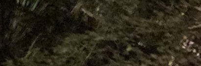 k13070824's profile banner image