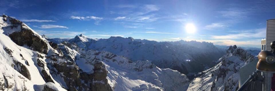 Danielle MacMillan banner