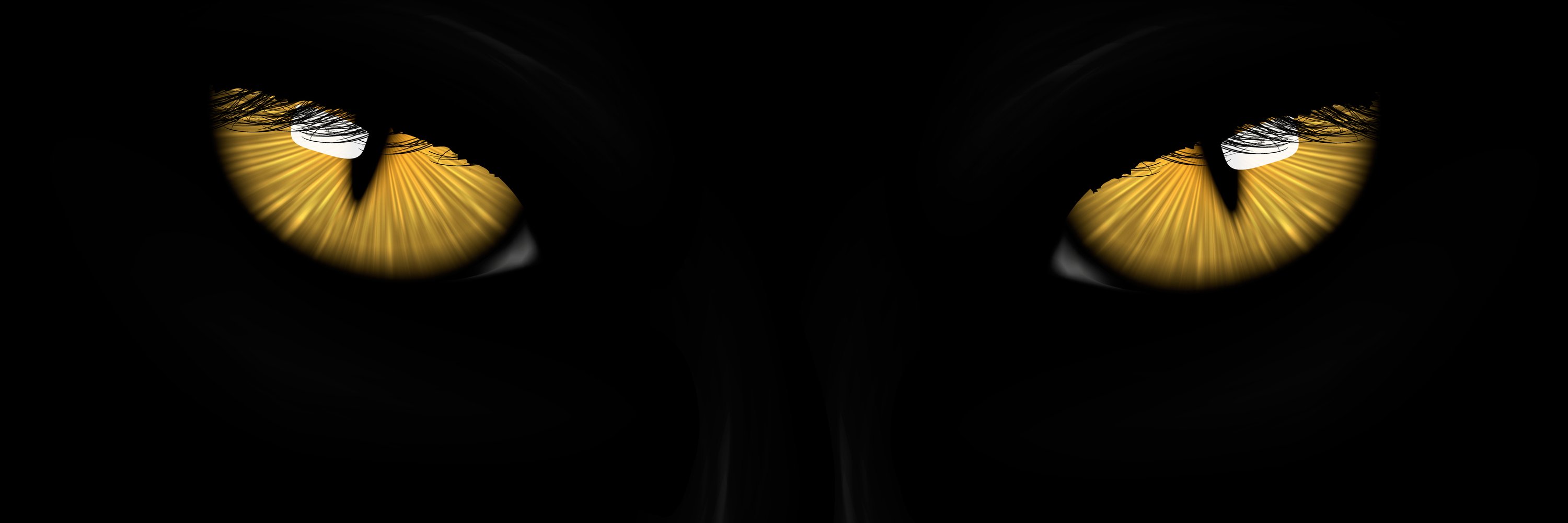 GranZarina's profile banner image