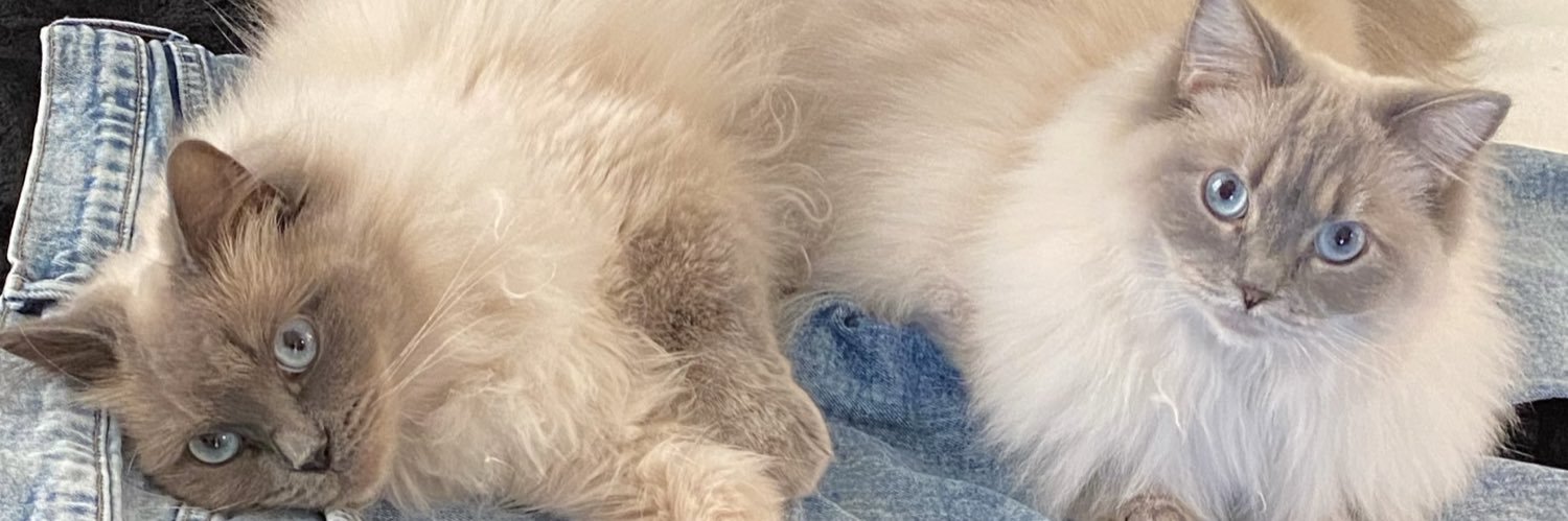 knoye96's profile banner image