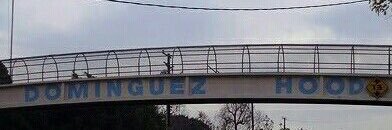 AintFcknWiddit's profile banner image