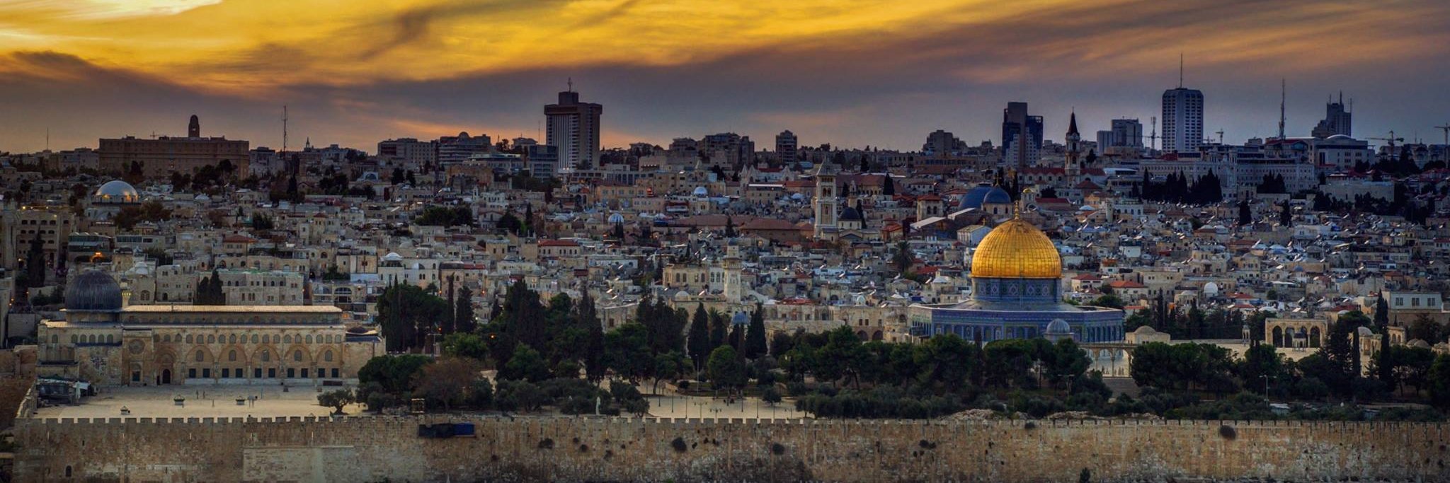 Tariq Subeh | طارق صبح's banner