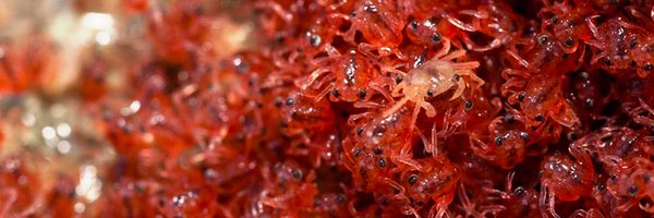 Parks_Australia Profile Banner