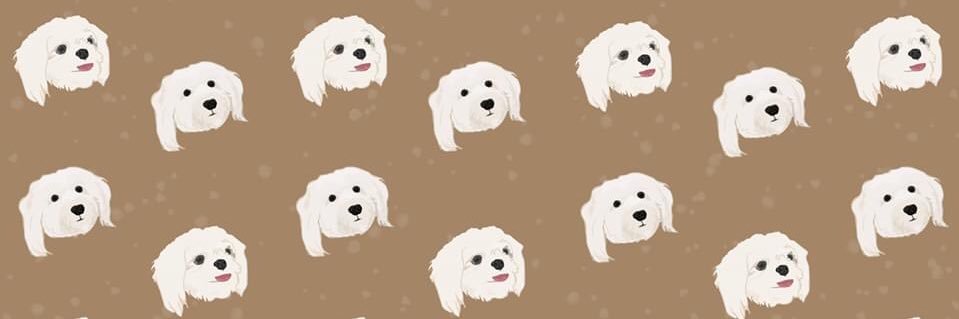 abecasti's profile banner image