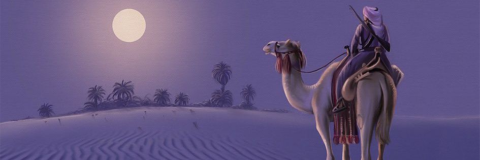 ganaabdulhamid's profile banner image