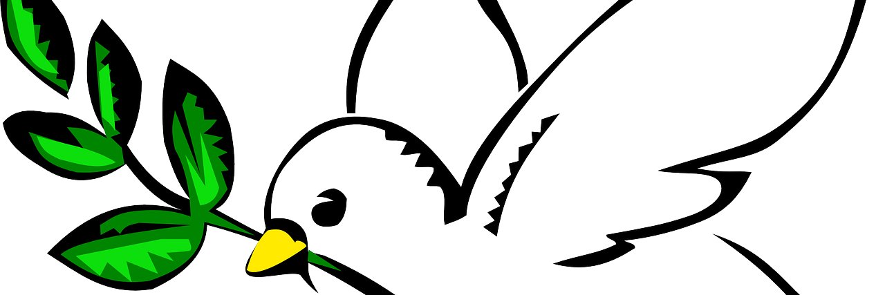 PolicyVote's profile banner image
