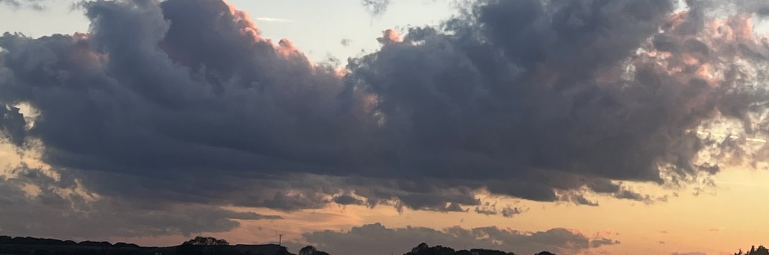 AnakinFlyest's profile banner image