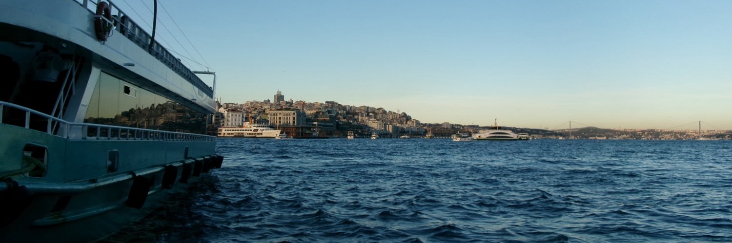 avocadiona's profile banner image