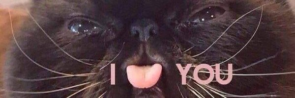 nekoalexx Profile Banner