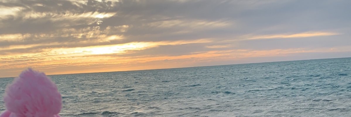 so4004so's profile banner image
