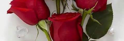 CameronTanisha's profile banner image