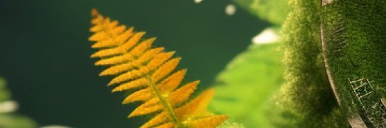 Irham70's profile banner image