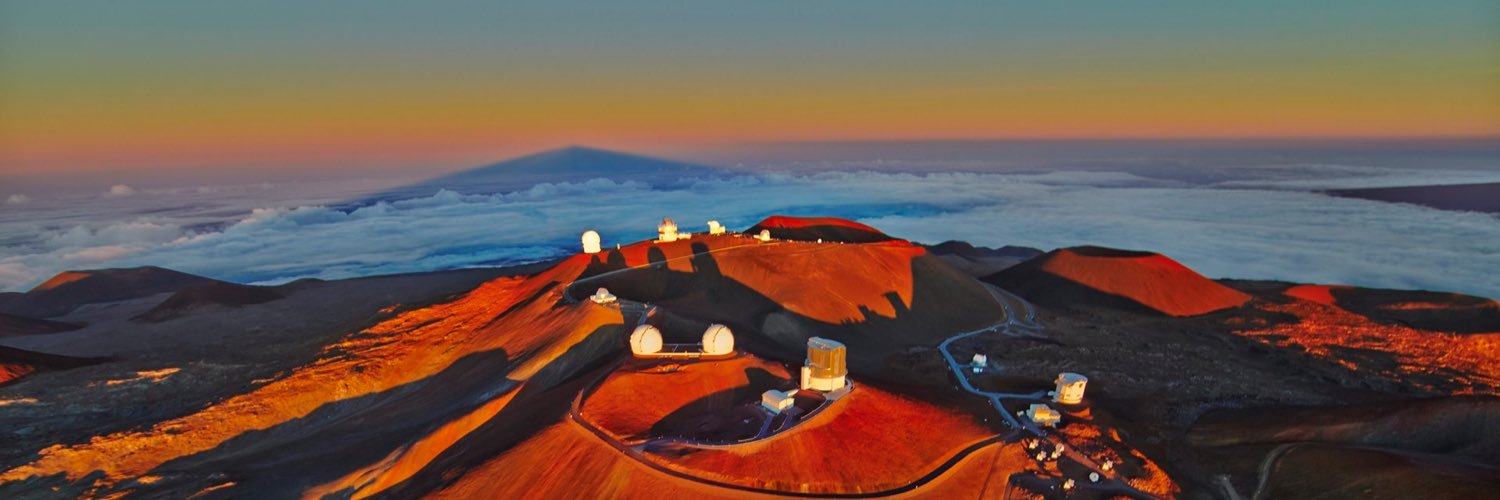 Jen Mehrnoush Z banner