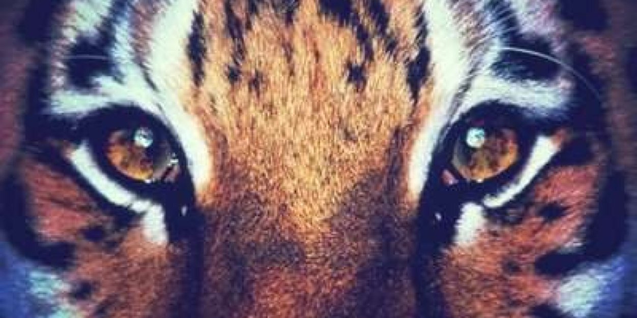 marveronicaa's profile banner image