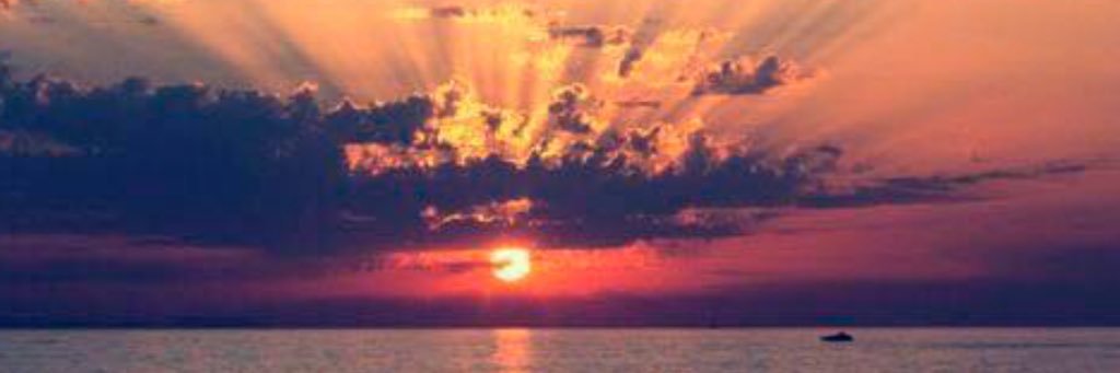 aross8898's profile banner image