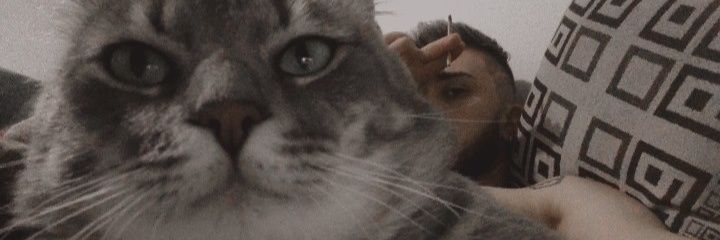 dtona_'s profile banner image