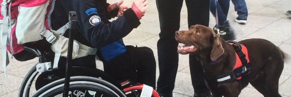 elfje13 Profile Banner