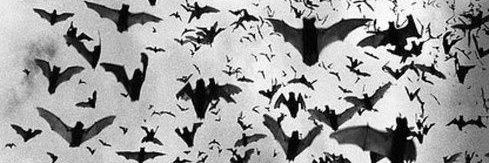 no_melk's profile banner image