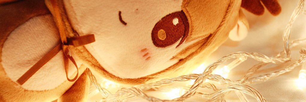 ♡deerLudoll banner