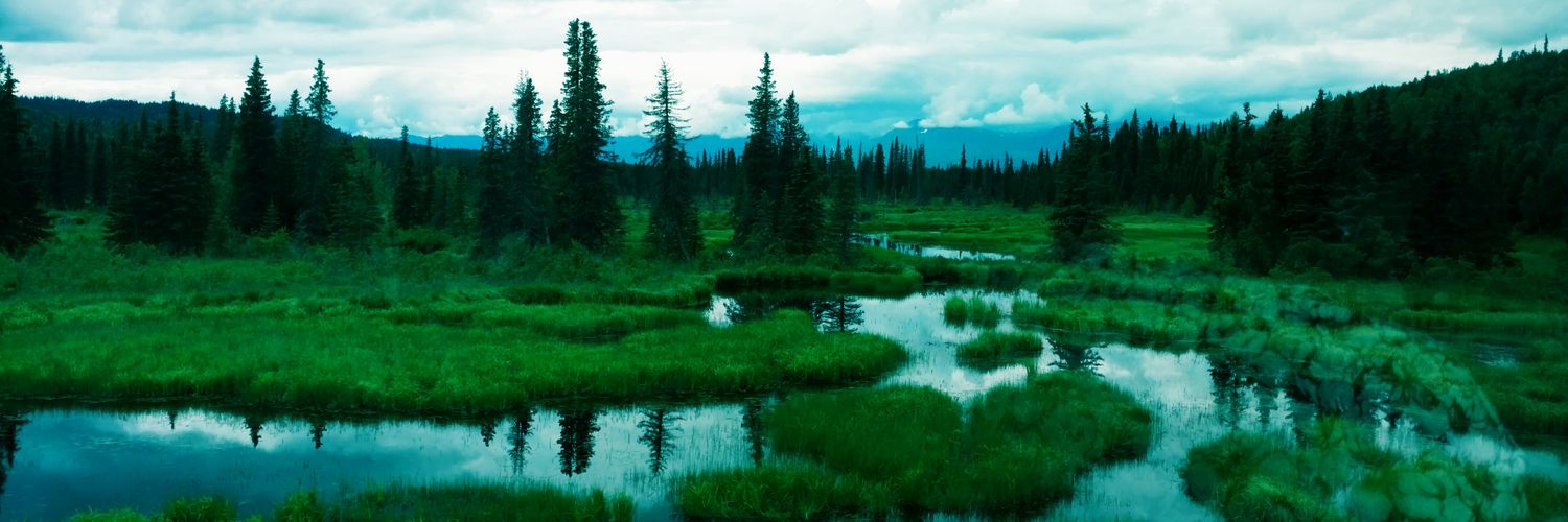 Lindsey Hunter banner