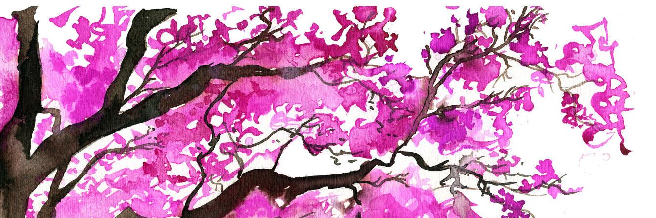 PrimyDc's profile banner image