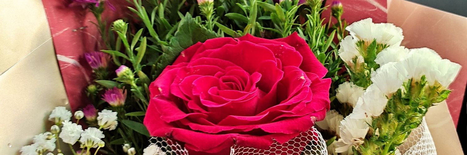 Takpela's profile banner image