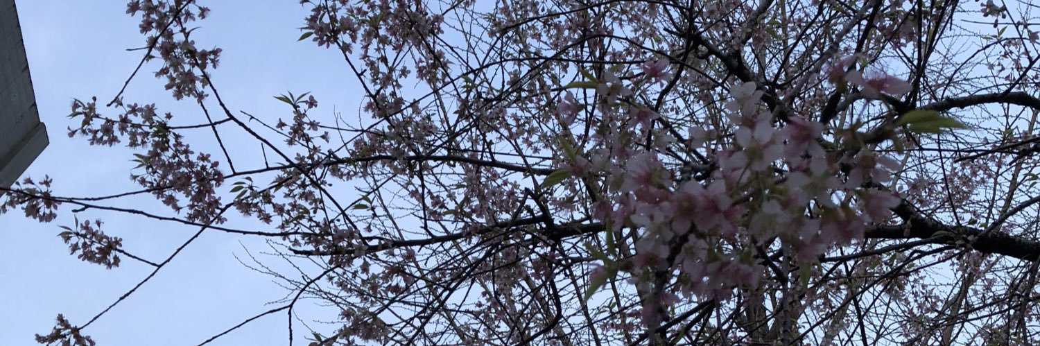 Rose8361's profile banner image