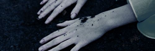 Newt banner