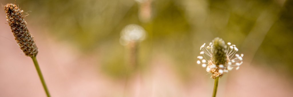 hannahbrown_uk's profile banner image