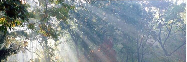 ymz7's profile banner image