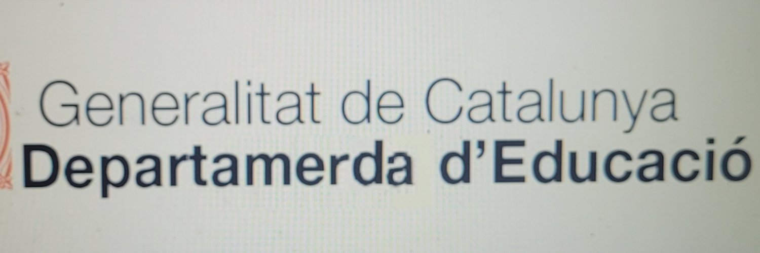 gizzi banner