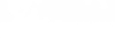 Ni banner